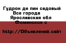 Гудрон де пин садовый - Все города  »    . Ярославская обл.,Фоминское с.